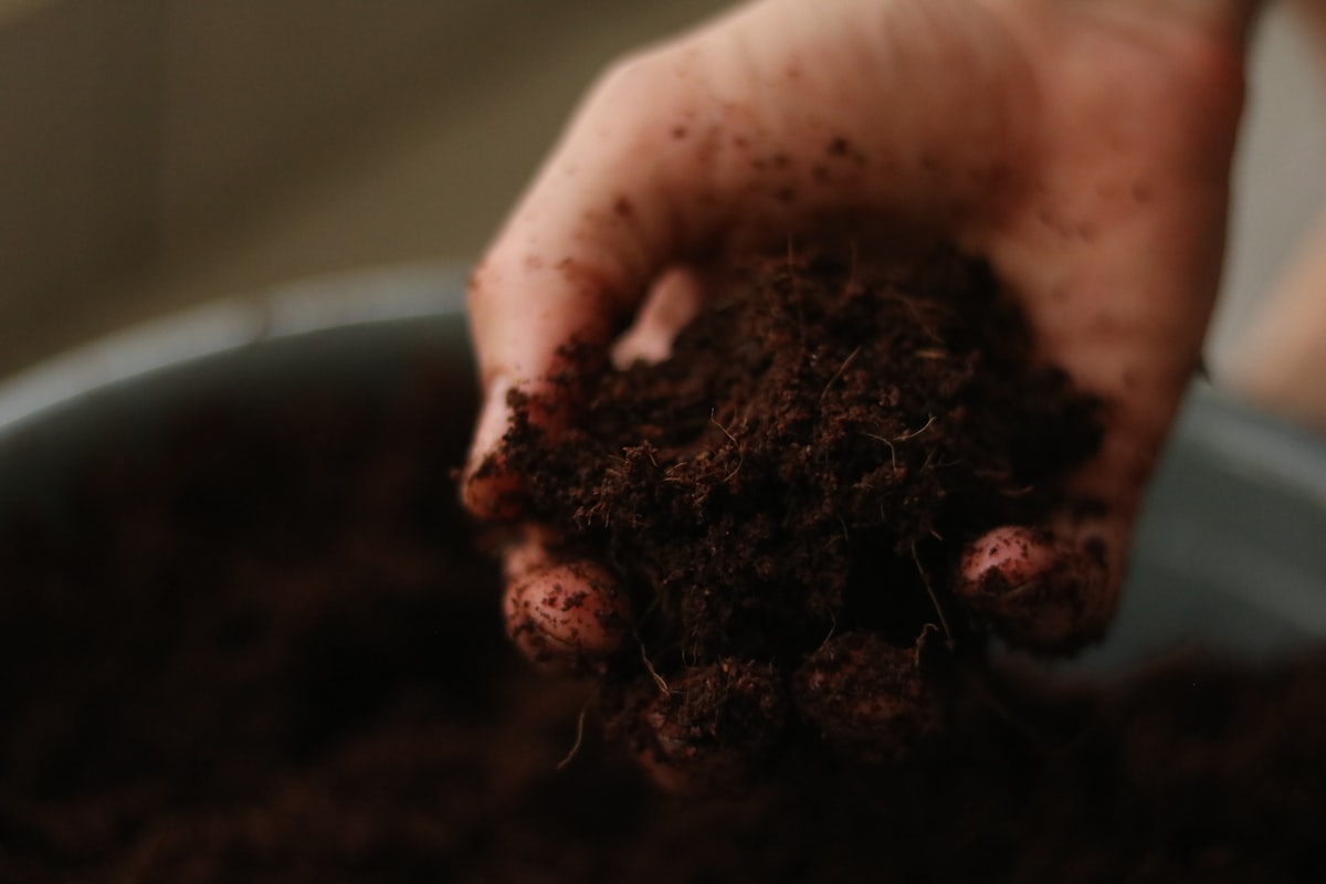 Hands holding fresh soil over a pot